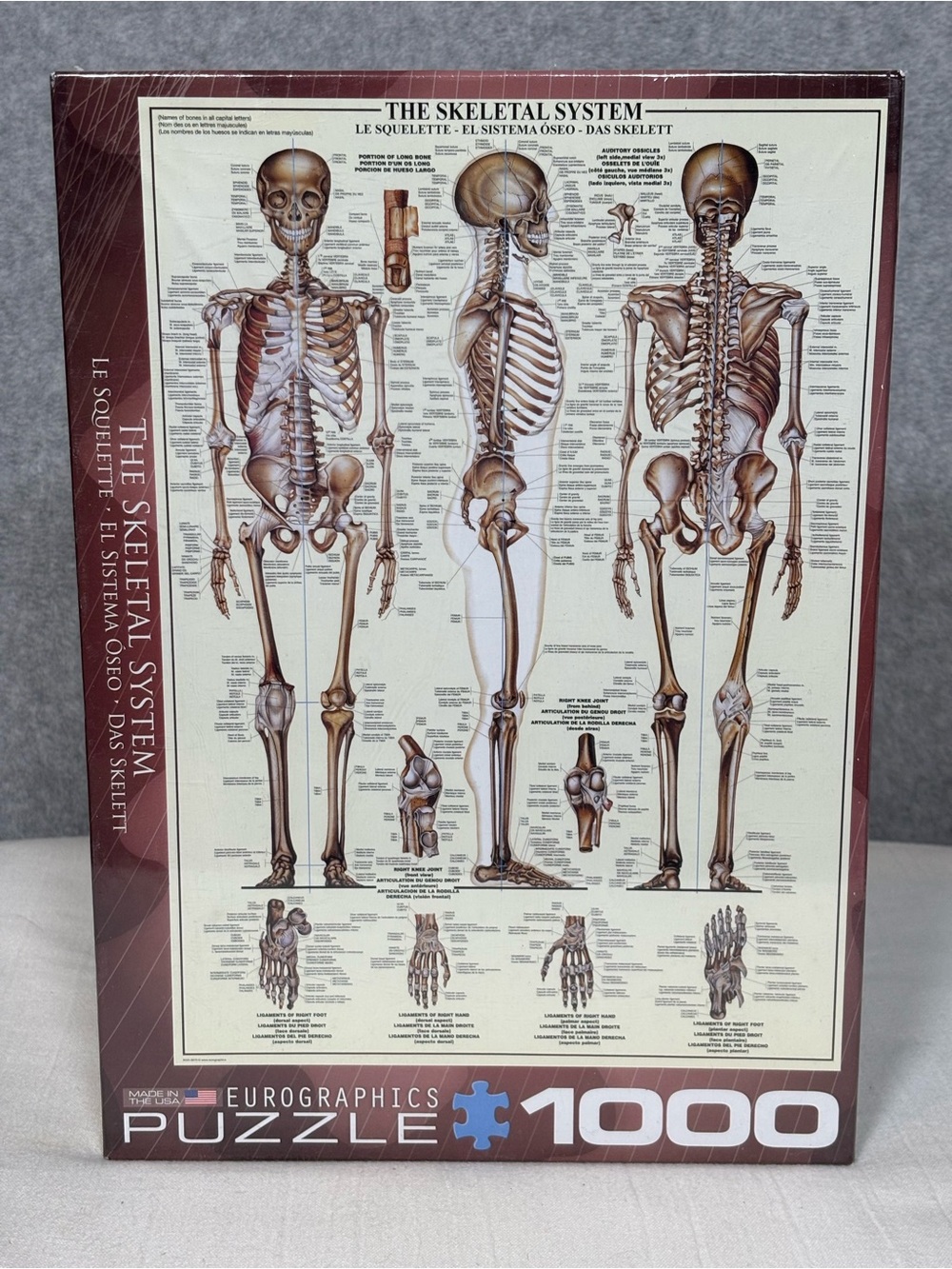 Eurographics The Skeletal System 1,000-Piece Jigsaw Puzzle Multilingual NEW